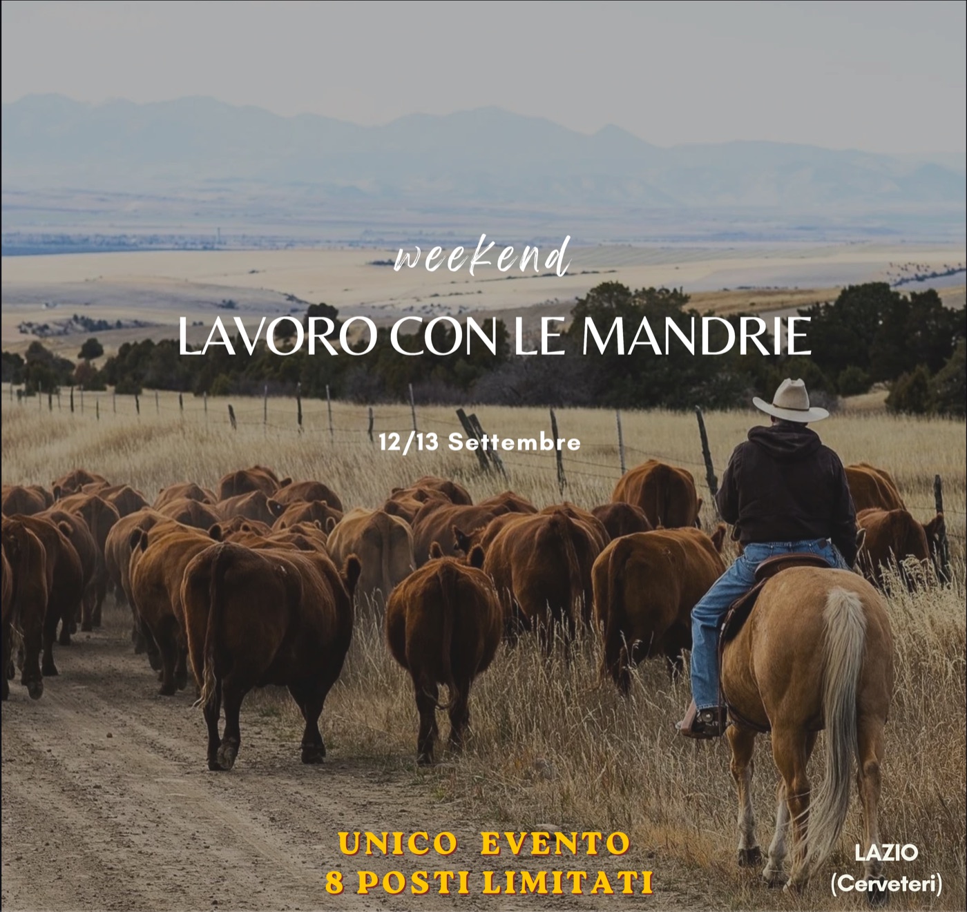 Lavoro con le Mandrie — Cerveteri · Lazio