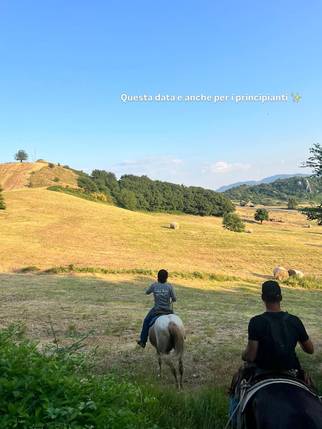 Campo aperto