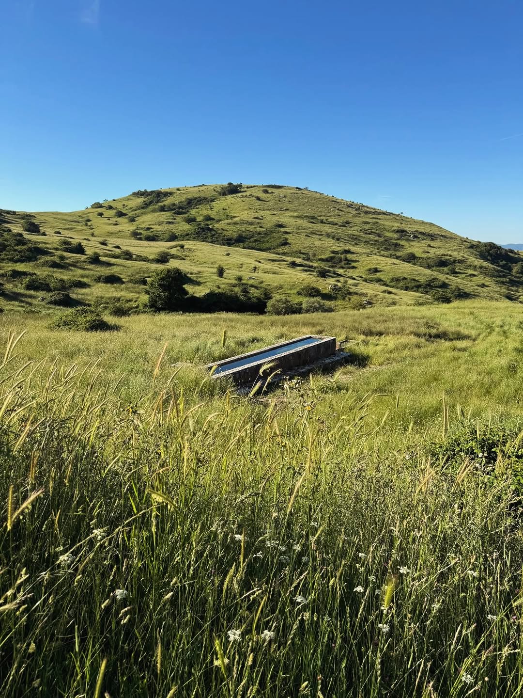 Tende & Cavalli — Alta Maremma, Toscana